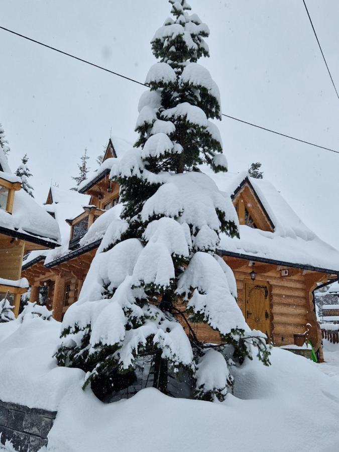Przytulny Domek I Zakopane Exterior foto